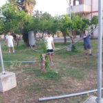 pre-08